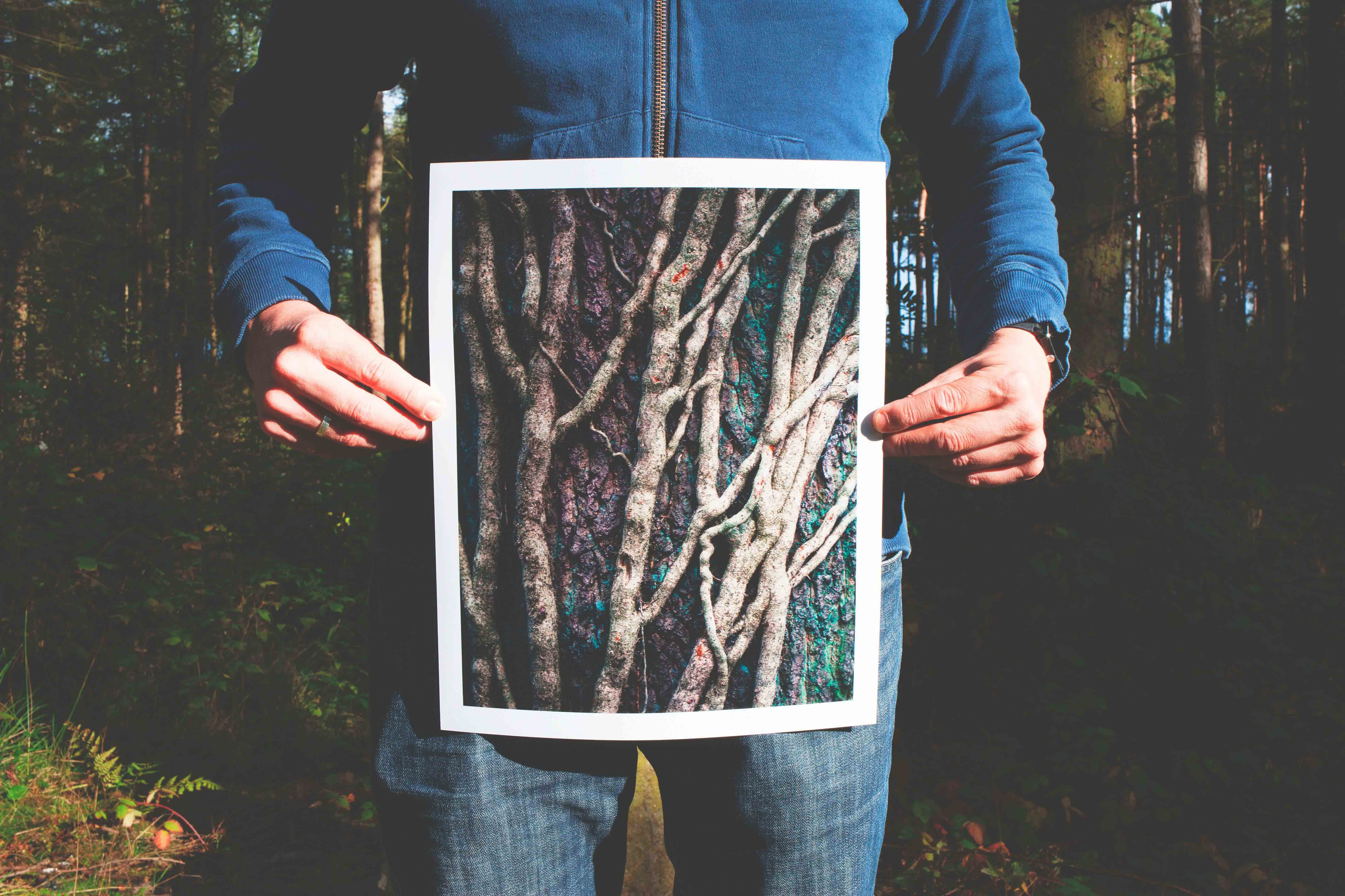 40 Resell Digital Prints Make A Profit Wholesale Photography Prints